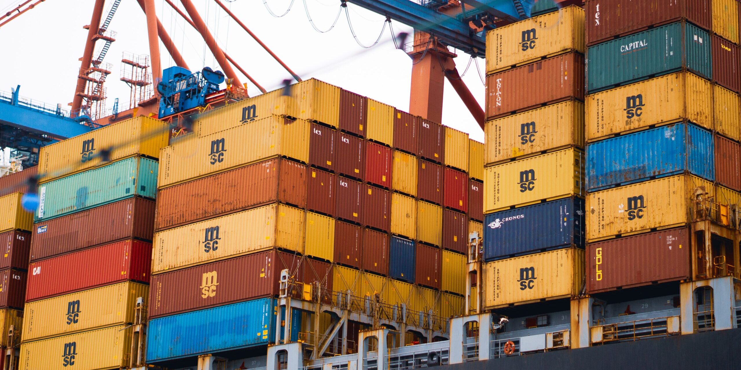 The Circular Economy and its Impact on Supply Chain Sustainability Cargo ship stacked with MSC shipping containers, illustrating global supply chain logistics and the circular economy's impact on sustainability. - Supply Chain Transparency