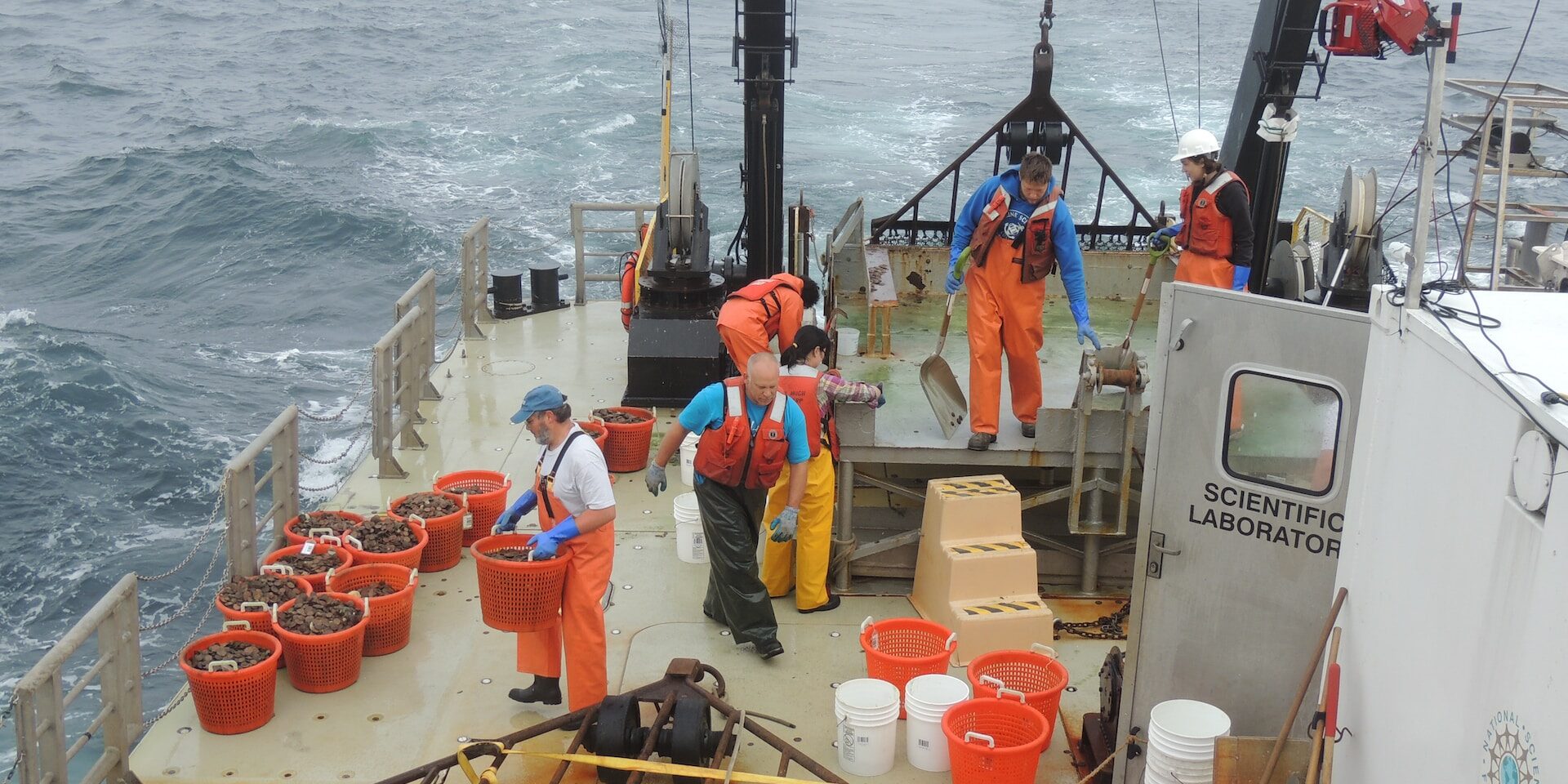 International Trade and Sustainable Development Goals Scientists sorting seafood on a research vessel. Sustainable fishing practices. - Supply Chain Transparency