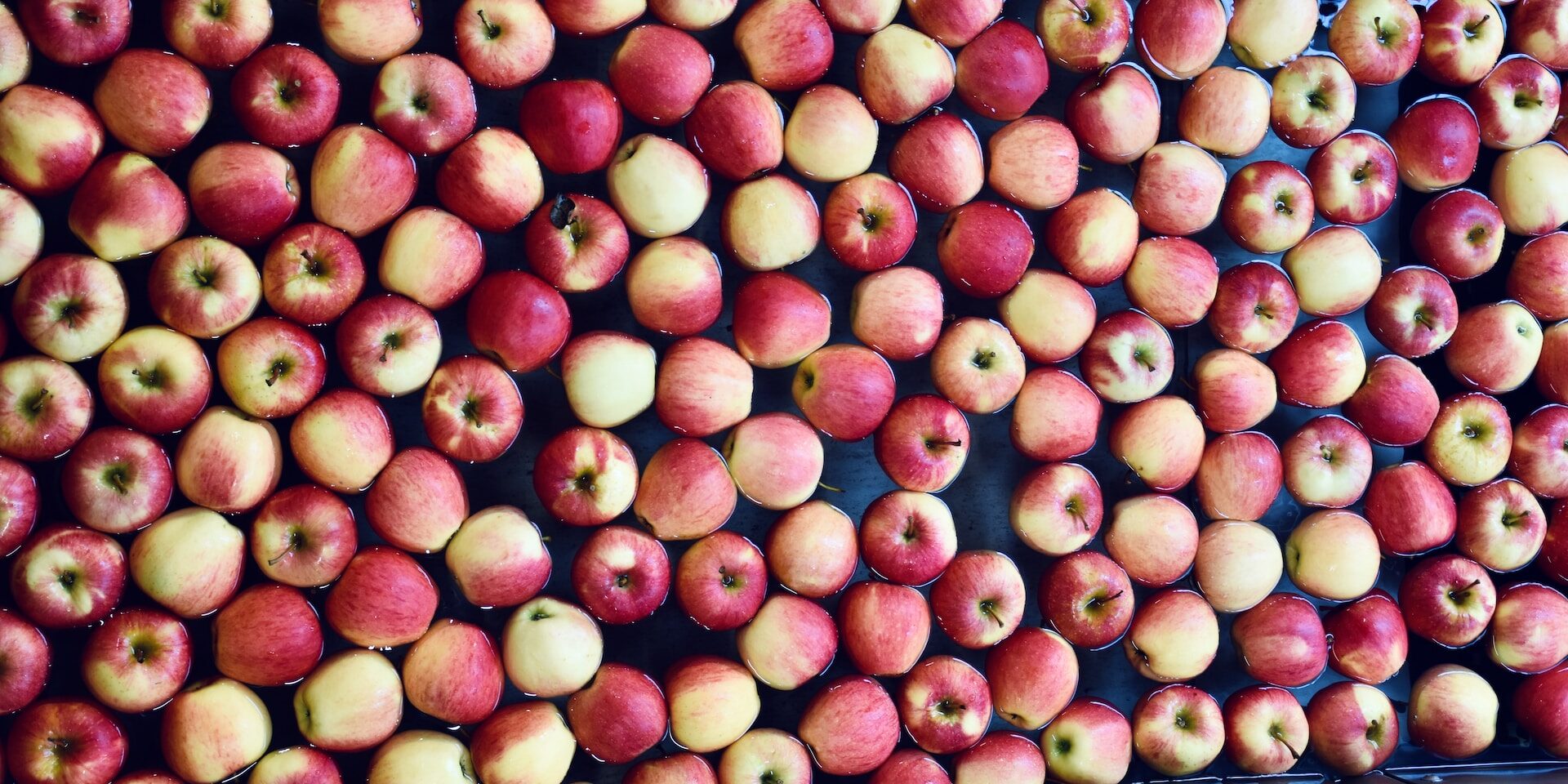 Navigating Supply Chain Challenges in the Food Industry Red apples submerged in water during food processing, illustrating supply chain challenges. - Supply Chain Transparency