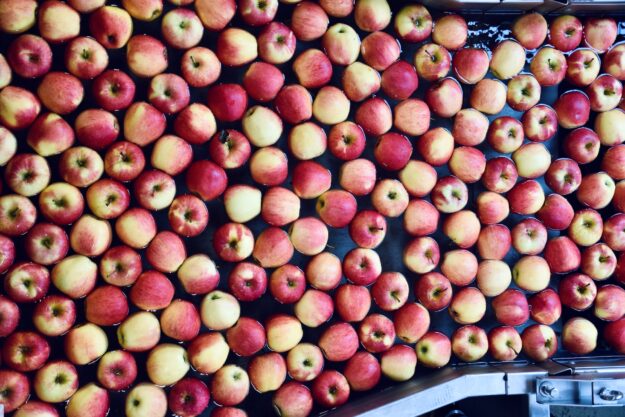 Navigating Supply Chain Challenges in the Food Industry Red apples submerged in water during food processing, illustrating supply chain challenges. - Supply Chain Transparency