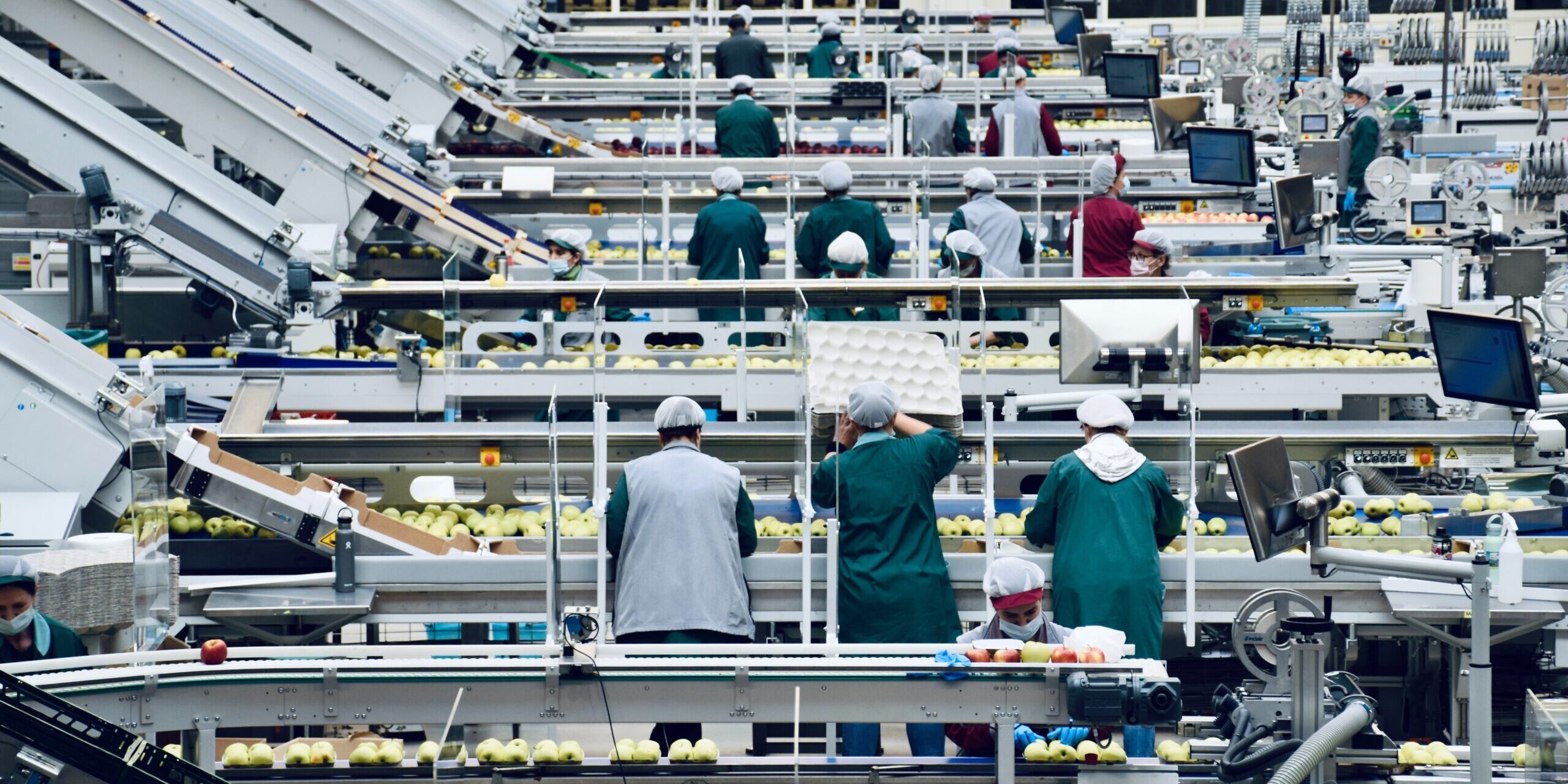 Supplier Diversification Supports Over 1.3 million Jobs in 2023