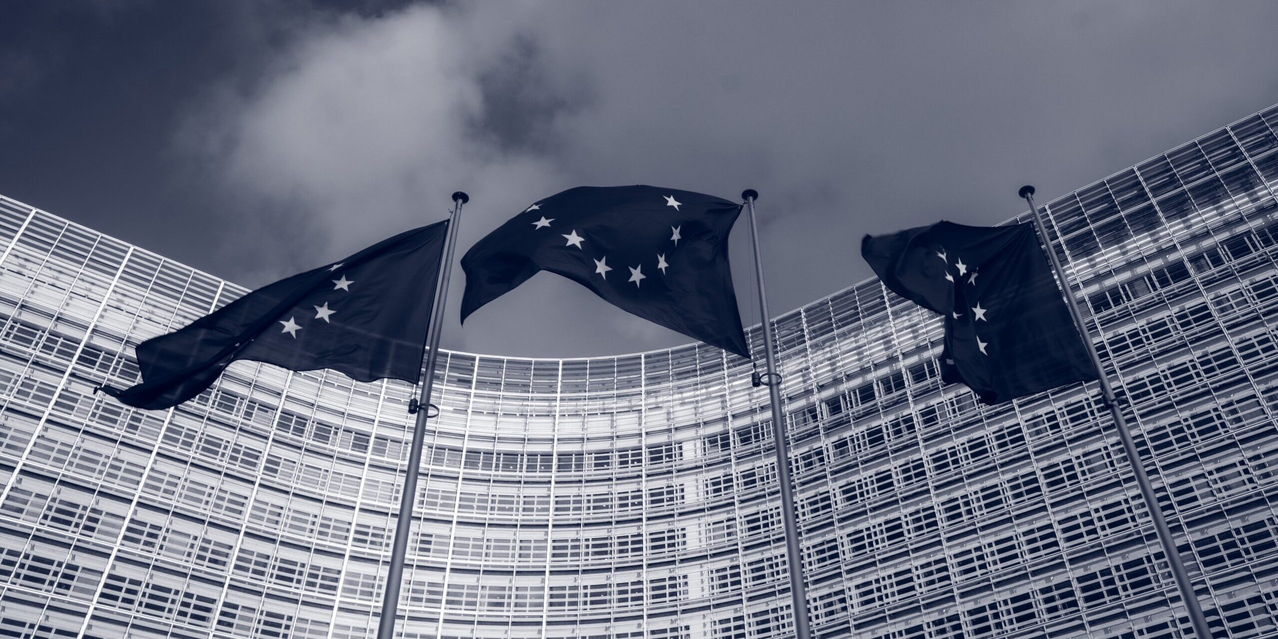 EU's New Supply Chain Rules: Financial Sector Exempted