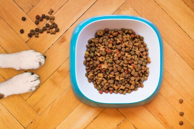 Supply Chain Resilience Vital for US Pet Food Industry Amidst Export Success Supply Chain Resilience Vital for US Pet Food Industry Amidst Export Success