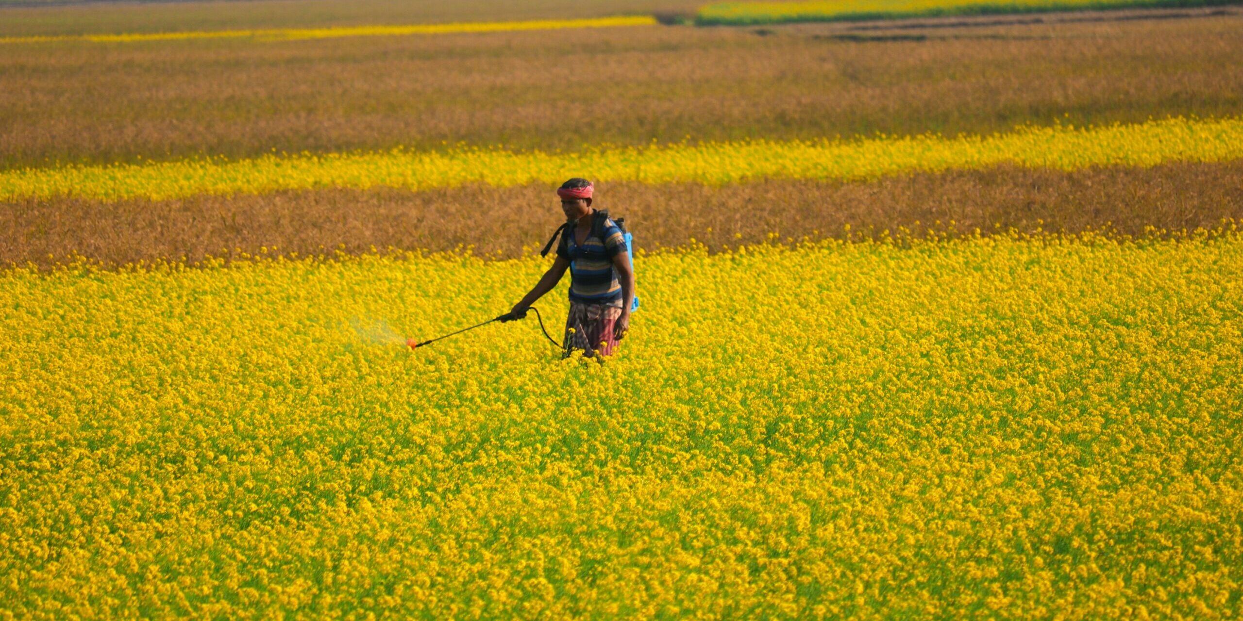 Revamping China’s Pesticide Supply Chain: Navigating Changes and Seizing Opportunities in 2024 Revamping China's Pesticide Supply Chain: Navigating Changes and Seizing Opportunities in 2024