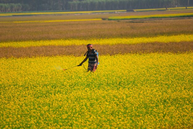 Revamping China’s Pesticide Supply Chain: Navigating Changes and Seizing Opportunities in 2024 Revamping China's Pesticide Supply Chain: Navigating Changes and Seizing Opportunities in 2024