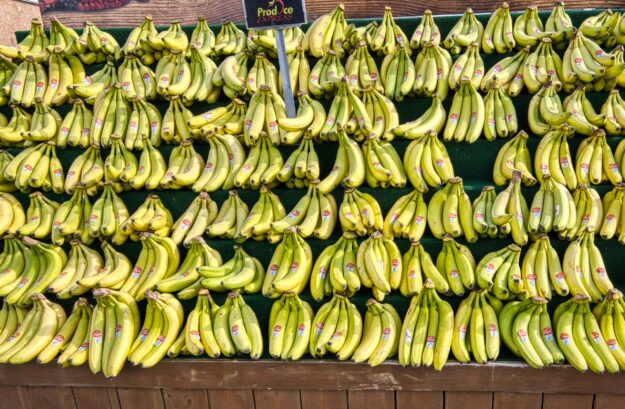 Global Banana Supply Chain Sustainability Takes Center Stage at Rome Conference Global Banana Supply Chain Sustainability Takes Center Stage at Rome Conference