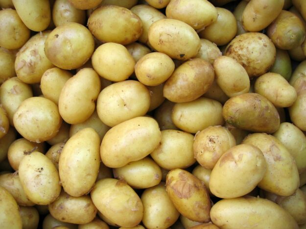 Michigan Potato Supply Chain Contributes $2.5 Billion to State Economy Michigan Potato Supply Chain Contributes $2.5 Billion to State Economy