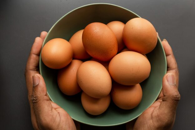 Boosting Palawan’s Egg Supply Chain with ₱2.6M Project in the Philippines Boosting Palawan's Egg Supply Chain with ₱2.6M Project in the Philippines