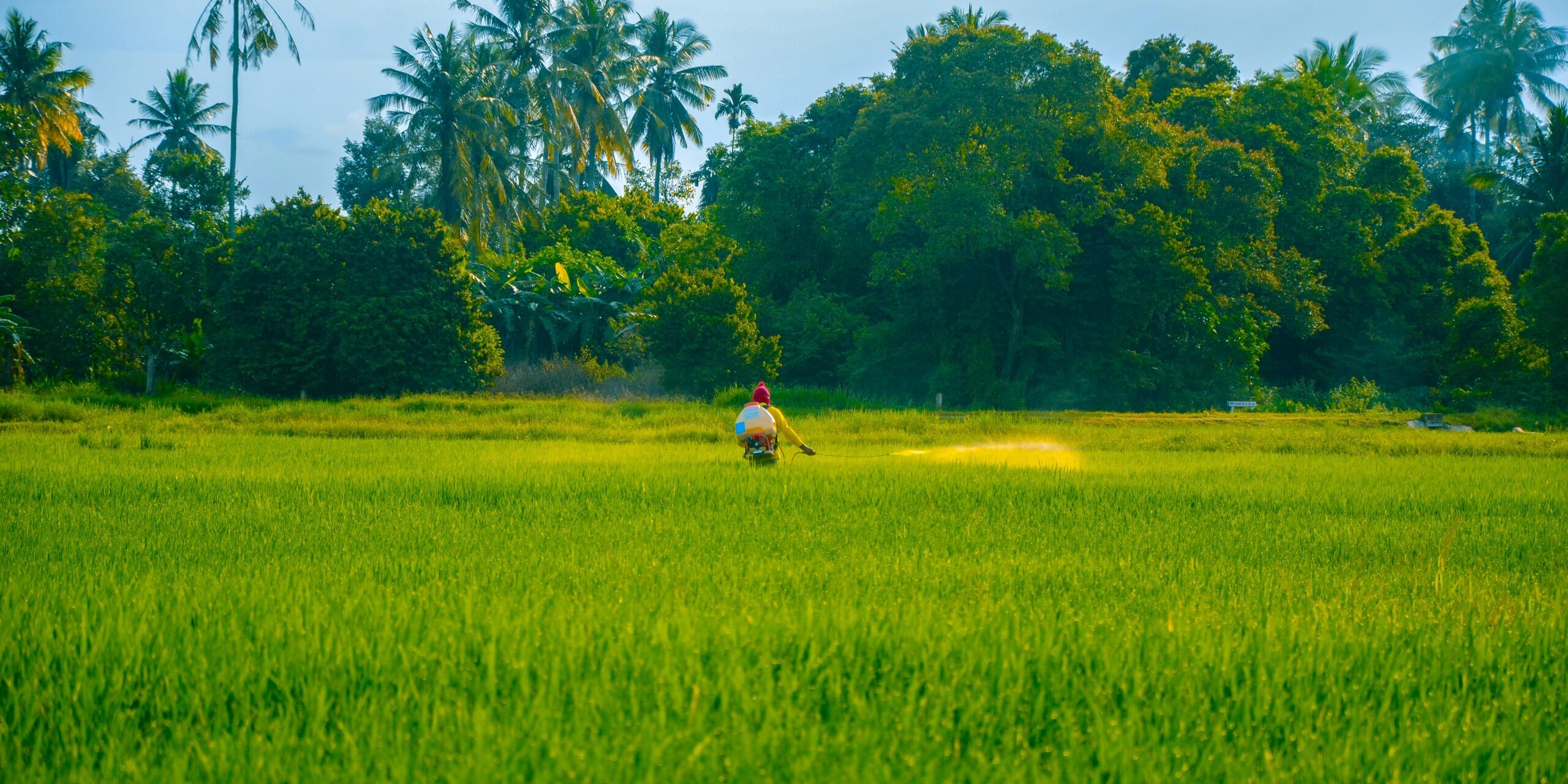French President Advocates for Farmer Protections in European Supply Chain Discussions French President Advocates for Farmer Protections in European Supply Chain Discussions