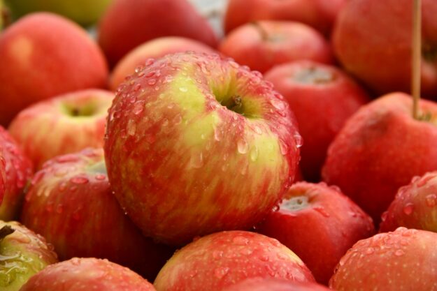 Southern Hemisphere Imports Revitalize Fresh Fruit Supply Chain Southern Hemisphere Imports Revitalize Fresh Fruit Supply Chain