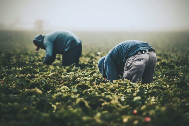 Collaborative Effort Enhances Philippines’ Agricultural Supply Chain Collaborative Effort Enhances Philippines' Agricultural Supply Chain