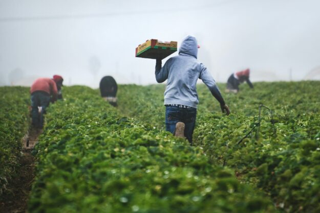 European Commission Seeks Input from Farmers and Suppliers on Unfair Trading Practices in Food Supply Chain European Commission Seeks Input from Farmers and Suppliers on Unfair Trading Practices in Food Supply Chain