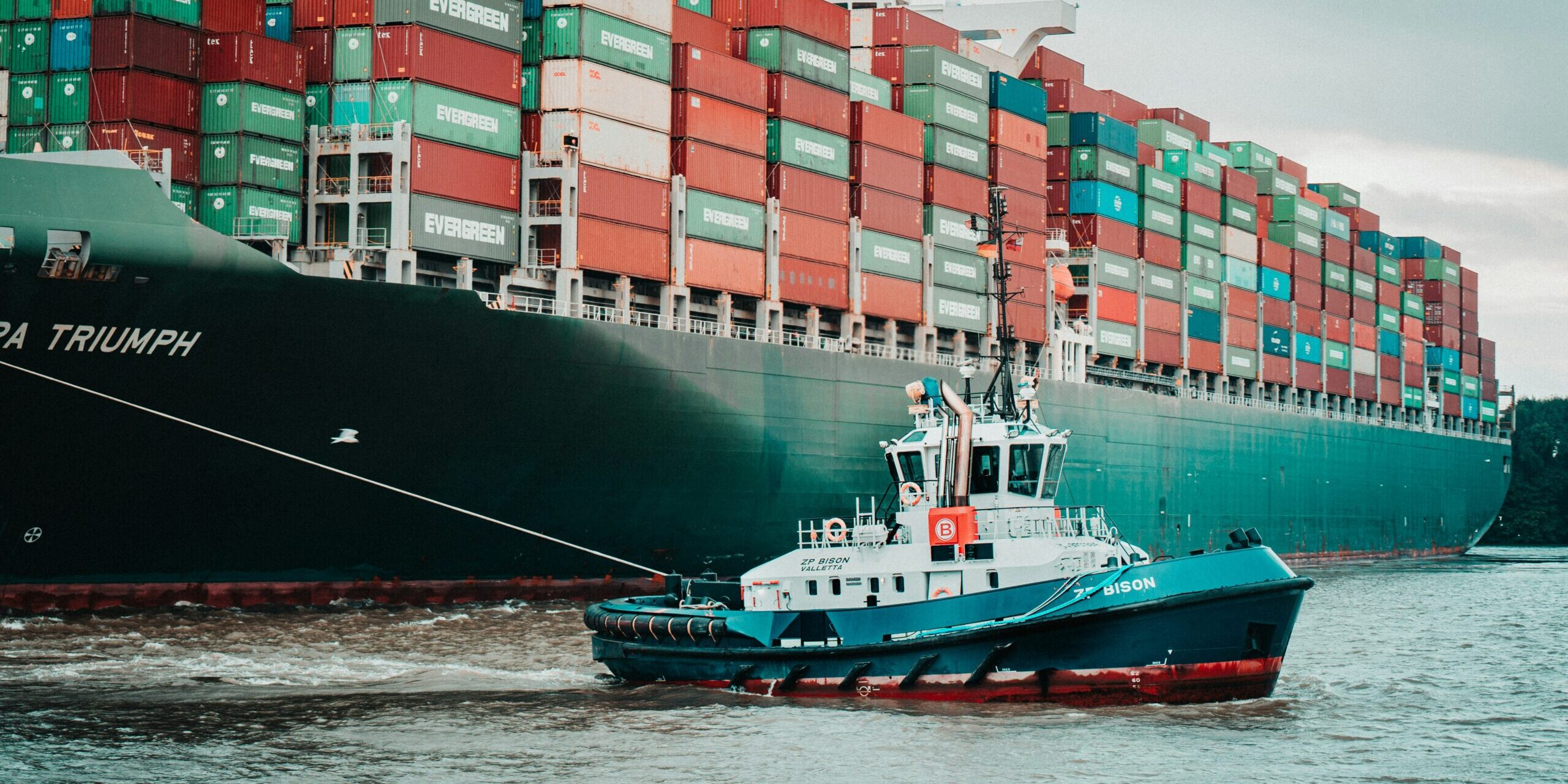 The Rise of the Indo-Pacific in the Global Supply Chain The Rise of the Indo-Pacific in the Global Supply Chain