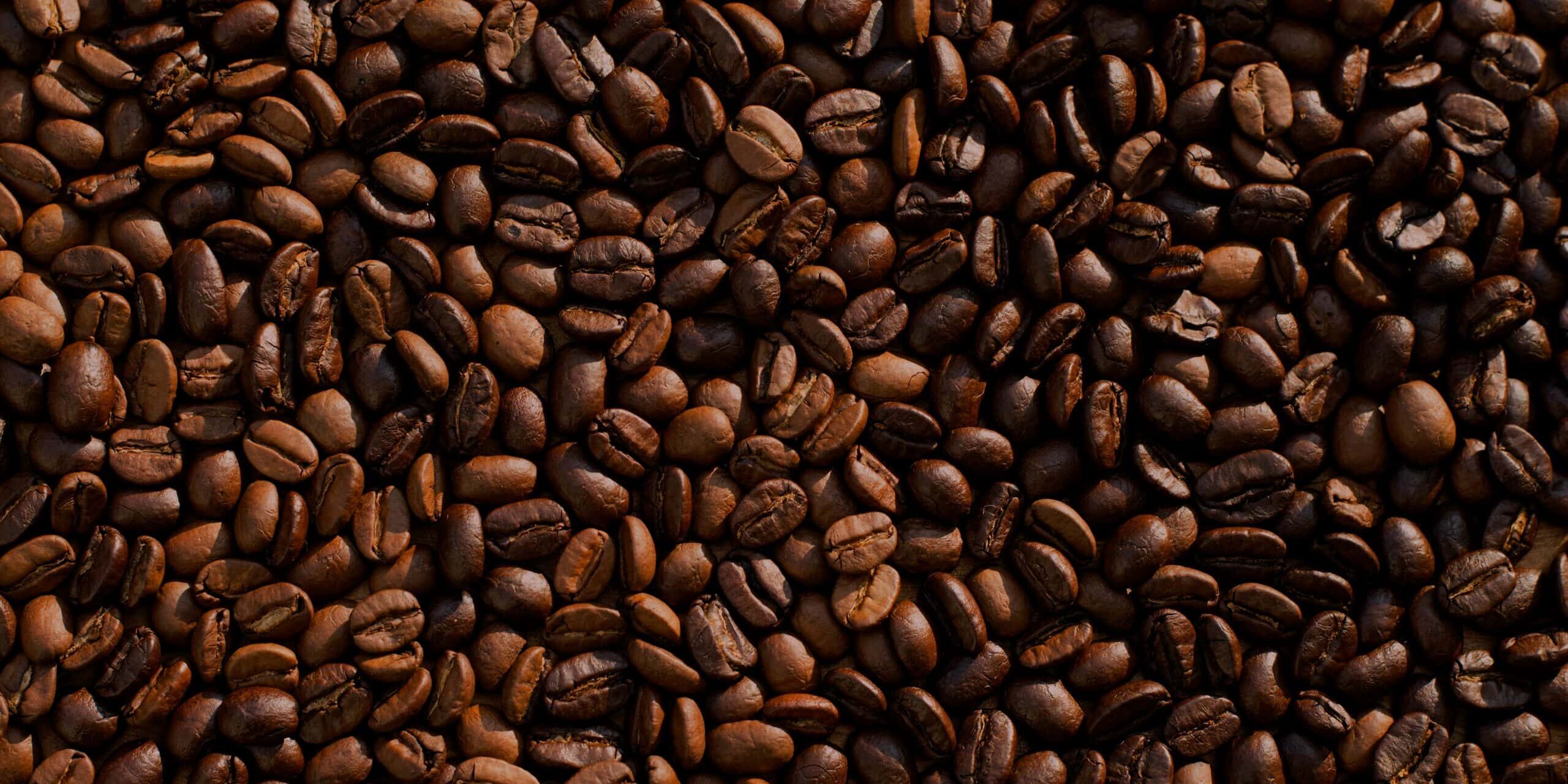Transforming Cameroon’s Coffee Supply Chain with Digital Innovation