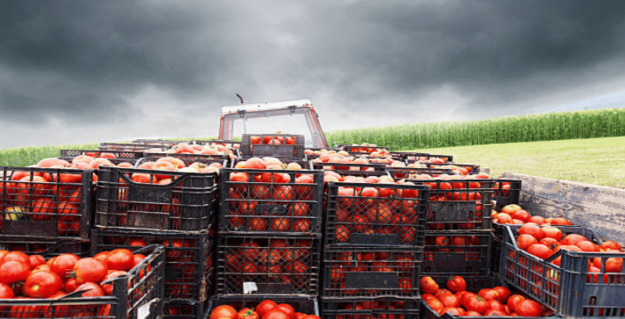 Efforts Intensify to Attract FDIs in Agro-Logistics Efforts Intensify to Attract FDIs in Agro-Logistics