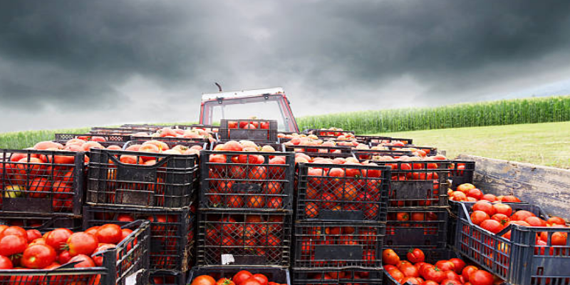 Efforts Intensify to Attract FDIs in Agro-Logistics Efforts Intensify to Attract FDIs in Agro-Logistics
