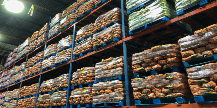 Advanced Logistics Hub Enhances Food Supply Chain Efficiency in Central China