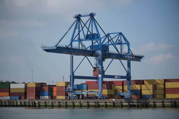 Major Supply Chain Hub Takes Shape in Guangzhou with 3.69 Billion Yuan Investment Major Supply Chain Hub Takes Shape in Guangzhou with 3.69 Billion Yuan Investment