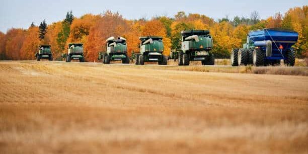 Innovative Platform Enhances Sustainability in Agricultural Supply Chains Innovative Platform Enhances Sustainability in Agricultural Supply Chains