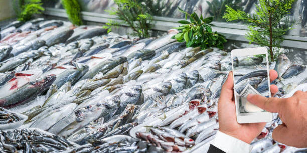 Innovative Technology Enhances Traceability in Seafood Supply Chain Innovative Technology Enhances Traceability in Seafood Supply Chain