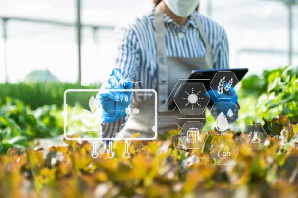 AI Startup Secures €3 Million to Revolutionize Food Supply Chain Efficiency AI Startup Secures €3 Million to Revolutionize Food Supply Chain Efficiency