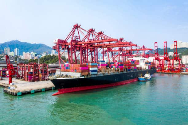 Global Company Expands Supply Chain with First Shipment from Vietnam Global Company Expands Supply Chain with First Shipment from Vietnam