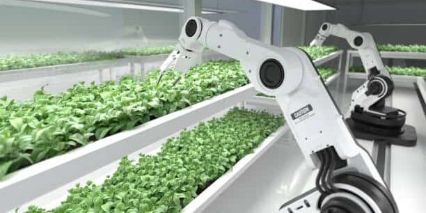 Enhancing Fresh Food Logistics with a Revolutionary Smart-Tracking Pallet Enhancing Fresh Food Logistics with a Revolutionary Smart-Tracking Pallet