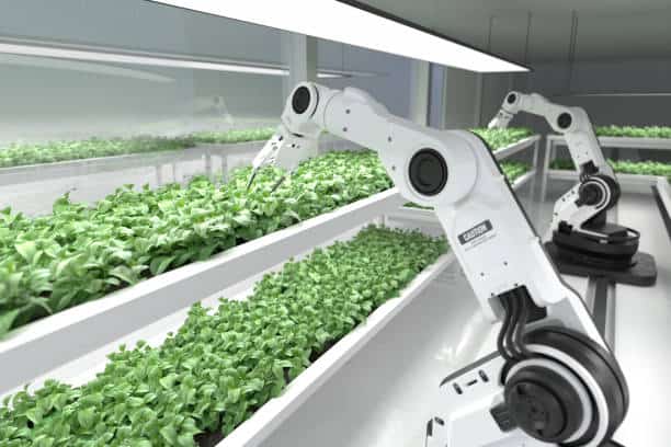 Enhancing Fresh Food Logistics with a Revolutionary Smart-Tracking Pallet Enhancing Fresh Food Logistics with a Revolutionary Smart-Tracking Pallet