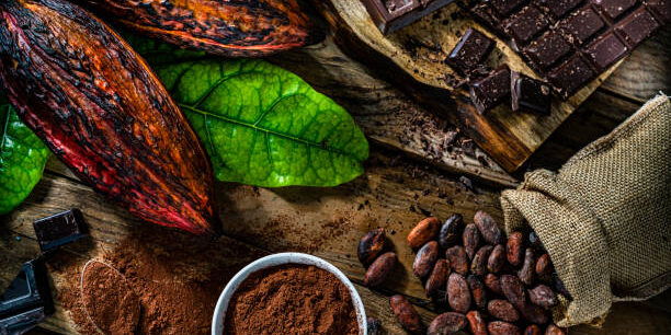 Elevating the Cocoa Supply Chain: A Path to Greater Value for African Producers