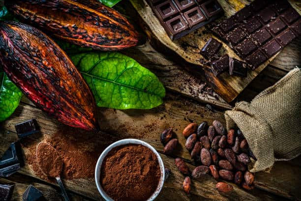 Elevating the Cocoa Supply Chain: A Path to Greater Value for African Producers Elevating the Cocoa Supply Chain: A Path to Greater Value for African Producers
