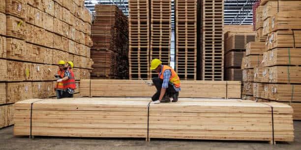 Forestry Supply-Chain Management Market Poised for Positive Transformation Through 2031 Forestry Supply-Chain Management Market Poised for Positive Transformation Through 2031