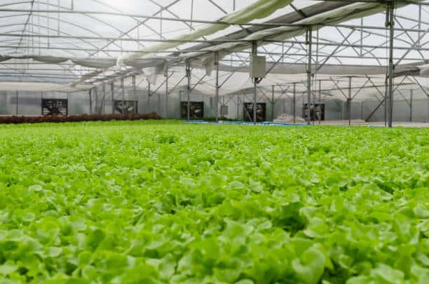 Agro-Logistics Center to Transform Tajikistan’s Agricultural Supply Chain Agro-Logistics Center to Transform Tajikistan’s Agricultural Supply Chain