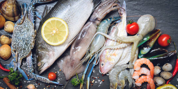 New Sustainability Tool Strengthens Transparency in Seafood Supply Chains