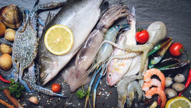 New Sustainability Tool Strengthens Transparency in Seafood Supply Chains New Sustainability Tool Strengthens Transparency in Seafood Supply Chains