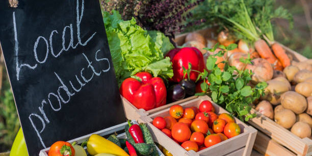 Workshops in Wales Empower Local Food Producers to Strengthen Supply Chains