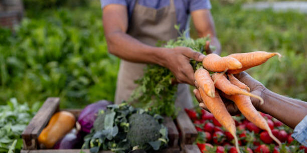 Philippines Boosts Agricultural Supply Chain with New Logistics Initiative Philippines Boosts Agricultural Supply Chain with New Logistics Initiative