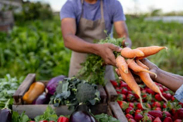 Philippines Boosts Agricultural Supply Chain with New Logistics Initiative Philippines Boosts Agricultural Supply Chain with New Logistics Initiative