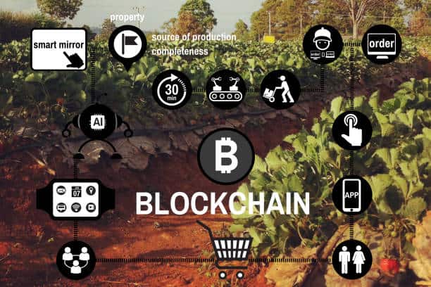 Blockchain Revolutionizing Agriculture & Food Supply Chains Blockchain Revolutionizing Agriculture & Food Supply Chains