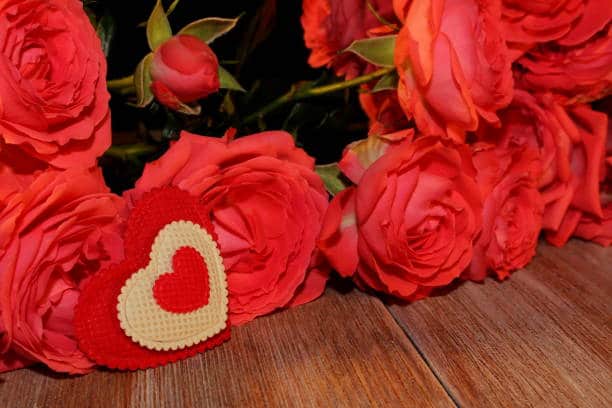Kenya Strengthens Global Flower Supply Chain Ahead of Valentine’s Day Kenya Strengthens Global Flower Supply Chain Ahead of Valentine’s Day