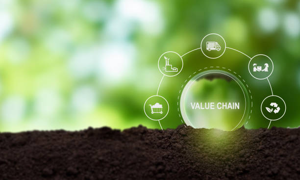 Southeast Asia’s Growing Role in Strengthening the Rare Earth Supply Chain Southeast Asia’s Growing Role in Strengthening the Rare Earth Supply Chain