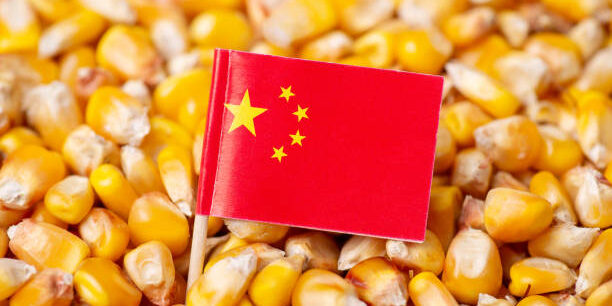 China Enhances Agricultural Supply Chain with $50M Corn Import Agreement Amid Tariff Adjustments China Enhances Agricultural Supply Chain with $50M Corn Import Agreement Amid Tariff Adjustments