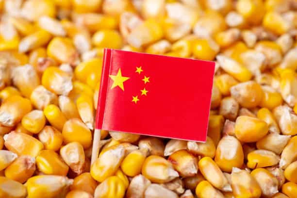 China Enhances Agricultural Supply Chain with $50M Corn Import Agreement Amid Tariff Adjustments China Enhances Agricultural Supply Chain with $50M Corn Import Agreement Amid Tariff Adjustments