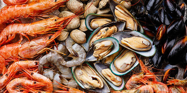 Saudi Arabia Implements Strategic Tariff Measure to Strengthen Local Supply Chain and Industrial Growth