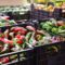 Spain Strengthens Agricultural Supply Chain as Pepper Exports Lead Produce Trade