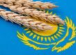 Kazakhstan’s Grain Exports Rise 14%, Strengthening Regional Supply Chain Links