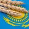Kazakhstan’s Grain Exports Rise 14%, Strengthening Regional Supply Chain Links
