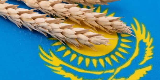 Kazakhstan’s Grain Exports Rise 14%, Strengthening Regional Supply Chain Links