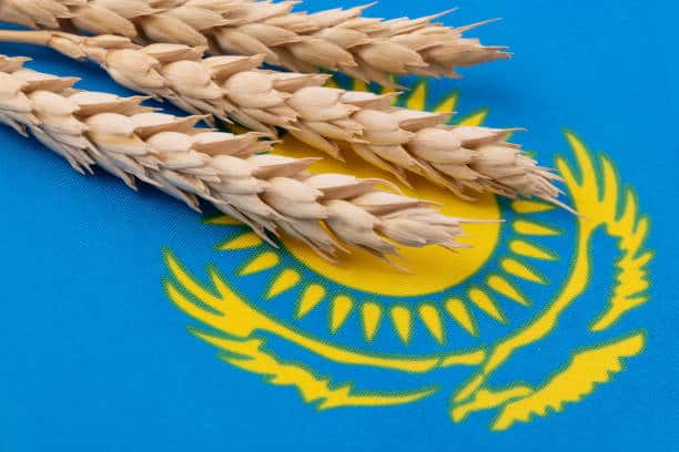 Kazakhstan’s Grain Exports Rise 14%, Strengthening Regional Supply Chain Links Kazakhstan’s Grain Exports Rise 14%, Strengthening Regional Supply Chain Links