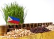 Tariff Relief Sparks Optimism as Philippine Agricultural Exports Gain New Momentum in Global Supply Chains