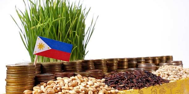 Tariff Relief Sparks Optimism as Philippine Agricultural Exports Gain New Momentum in Global Supply Chains